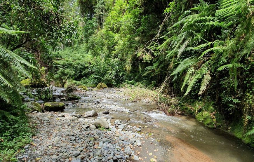 Hike to Mount Meru Waterfalls