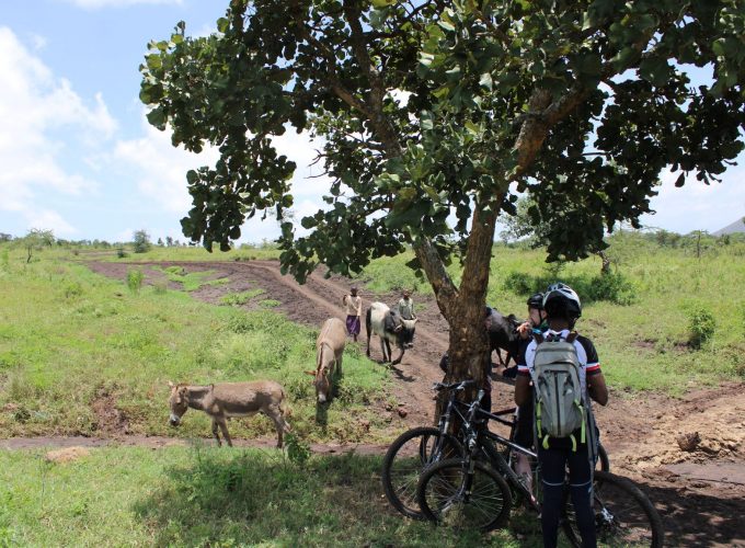 Bicycle experience to Oldonyo – Sambu (Short Hike)