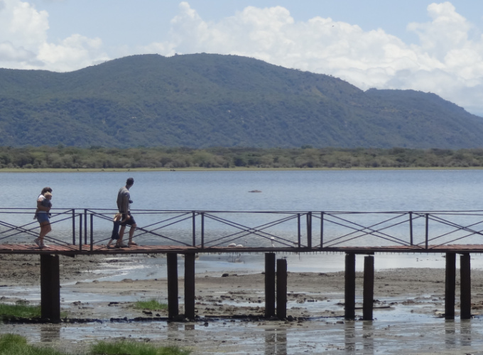 Day Trip, Group Safari To Lake Manyara National Park