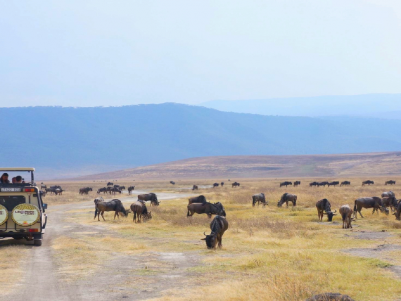 Four (4) Days Group Camping Safari to Lake Manyara, Serengeti & Ngorongoro Crater