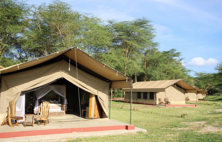 Seven (7) Days, All Inclusive Private Safari to Tarangire, Serengeti, Ngorongoro Crater & Lake Manyara. Glamping Safari.
