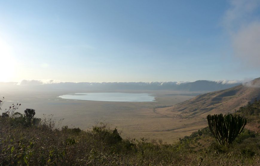 Four (4) Days Private Safari to Tarangire, Serengeti & Ngorongoro Crater. Camping Safari