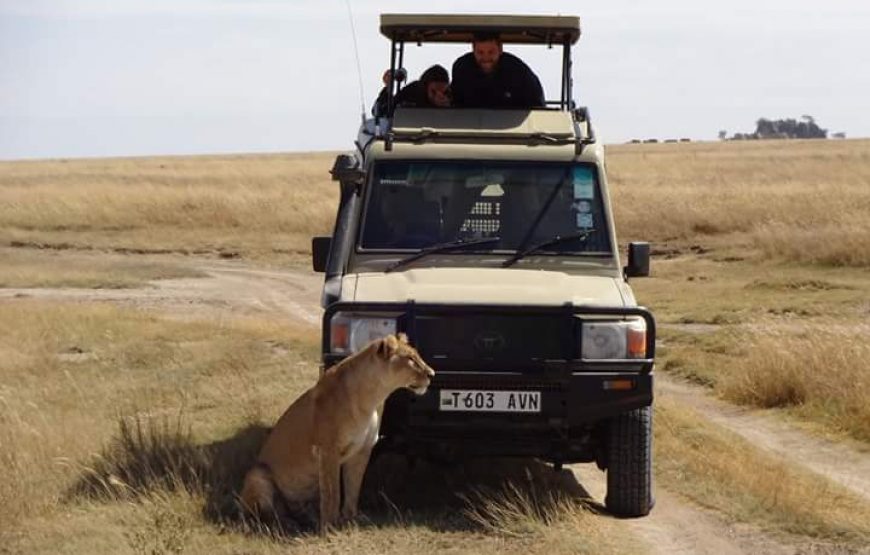 Three (3) Days, Private Safari to Serengeti National Park & Ngorongoro Crater
