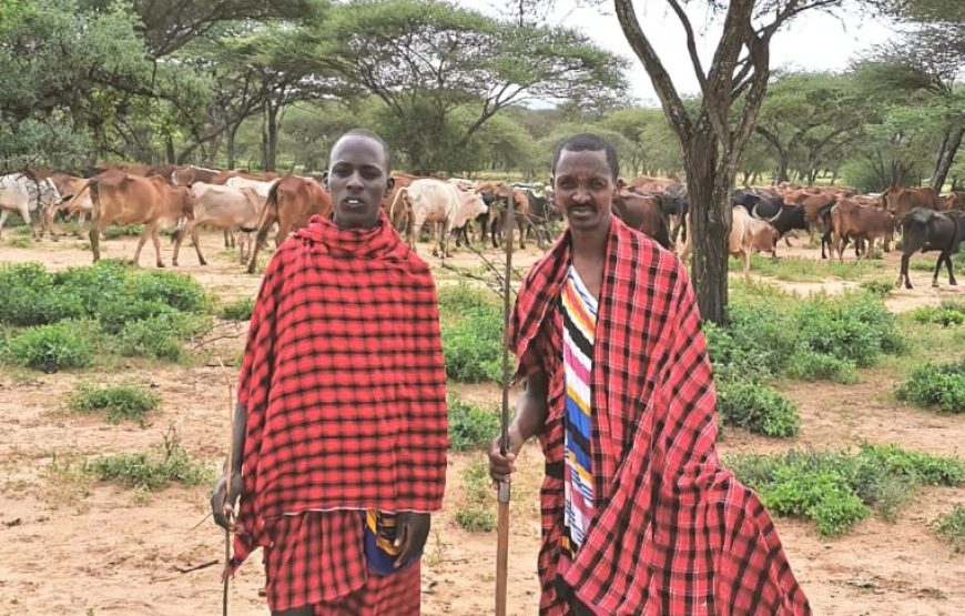 Authentic Cultural Experiences with Masai, Hadzabe & Datoga Tribes in Northern Tanzania.