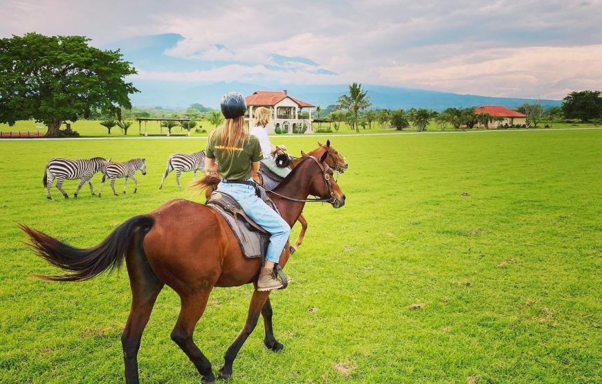 Horse Riding at Kili Golf Estate & Wildlife Park