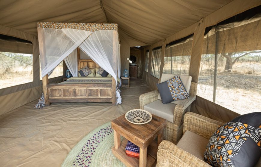 Paradise & Wilderness. Four Days, Fly in Fly Out. Serengeti to Zanzibar. Glamping Safari