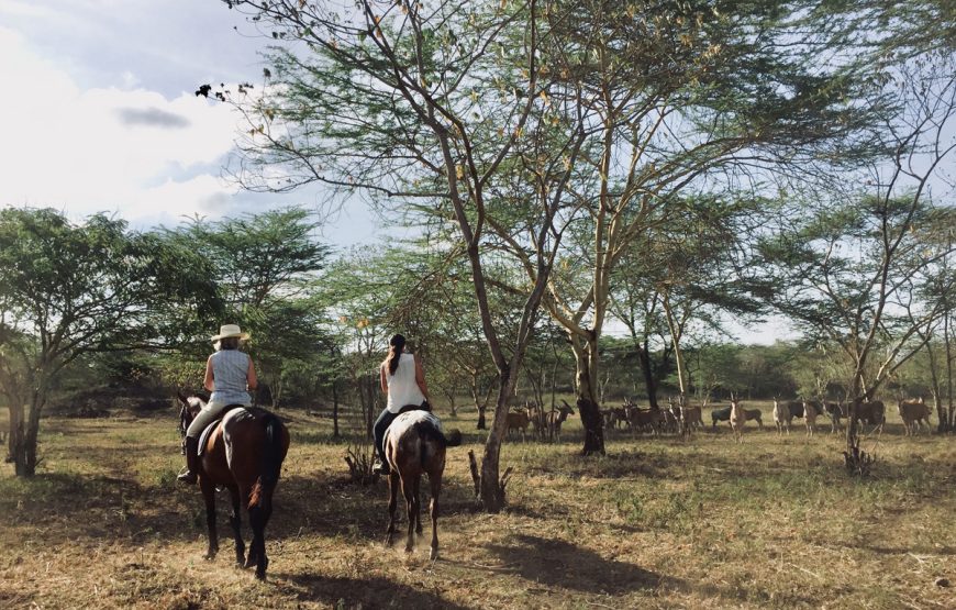 Horse Riding at Kili Golf Estate & Wildlife Park