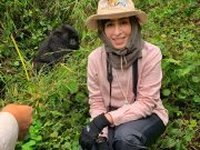Three Days. Rwanda Gorilla & Golden Monkey Trekking Safari. Private Safari
