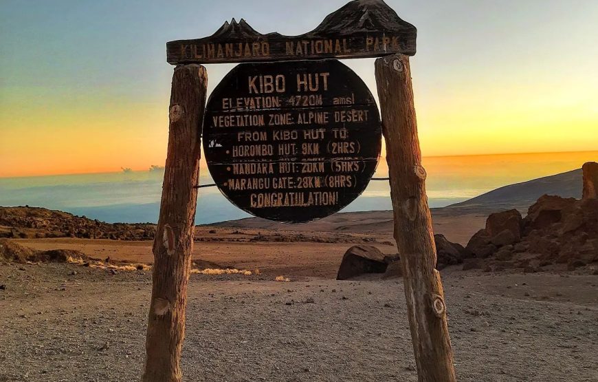 Six Days Kilimanjaro Marangu Route. Backpacking Budget Climb