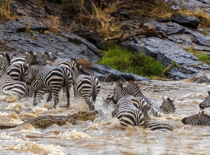 Four Days. Group Camping Safari to Serengeti for 2 Nights & Ngorongoro Crater. Migration Safari