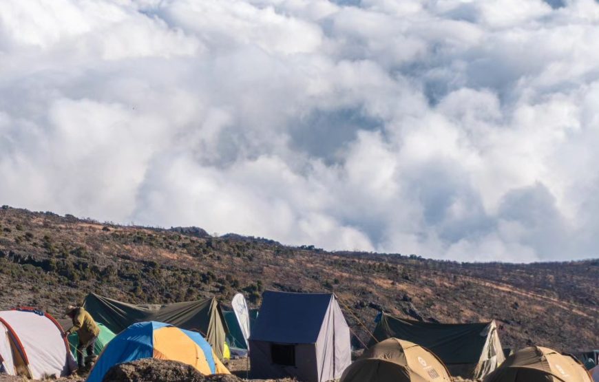 Eight Days Lemosho Route. Mount Kilimanjaro Backpacking Budget Climb