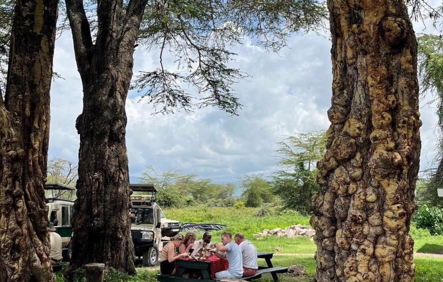 Six Days. Private Safari to Tarangire, 2 Nights in Serengeti, Ngorongoro Crater & Lake Manyara. Migration Safari