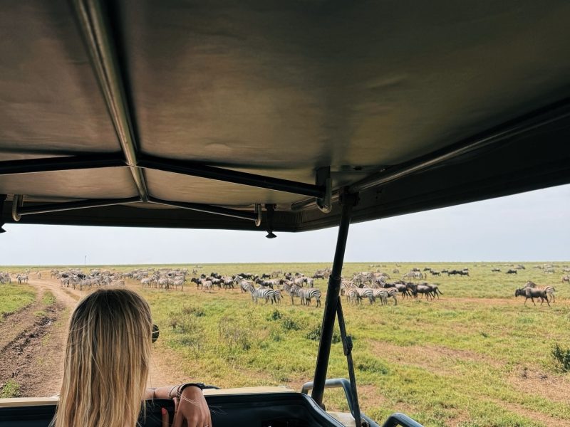 Five Days. Private Safari to Tarangire, 2 nights in Serengeti & Ngorongoro Crater. Migration Safari